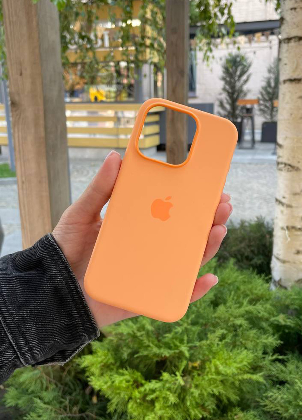Чехол Silicone Case MagSafe iPhone 15 Pro Max Orange Sorbet No Brand (266423738)