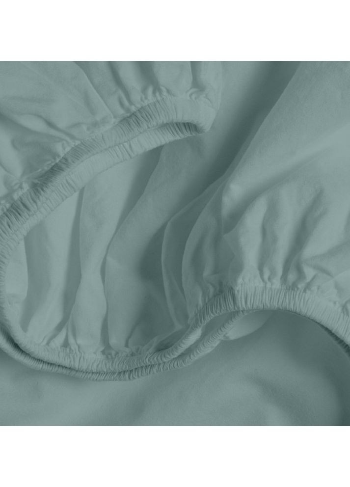 Простынь на резинке 160х200х30 AGAVE (4822052203569) Cosas (266617612)