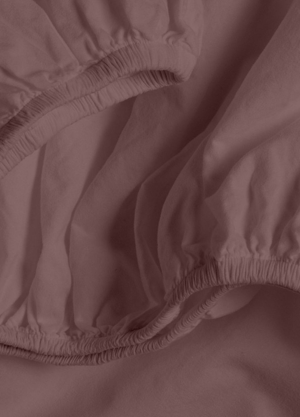 Набор простынь на резинке 120х200 COCONUT (4822052226544) Cosas (266617593)