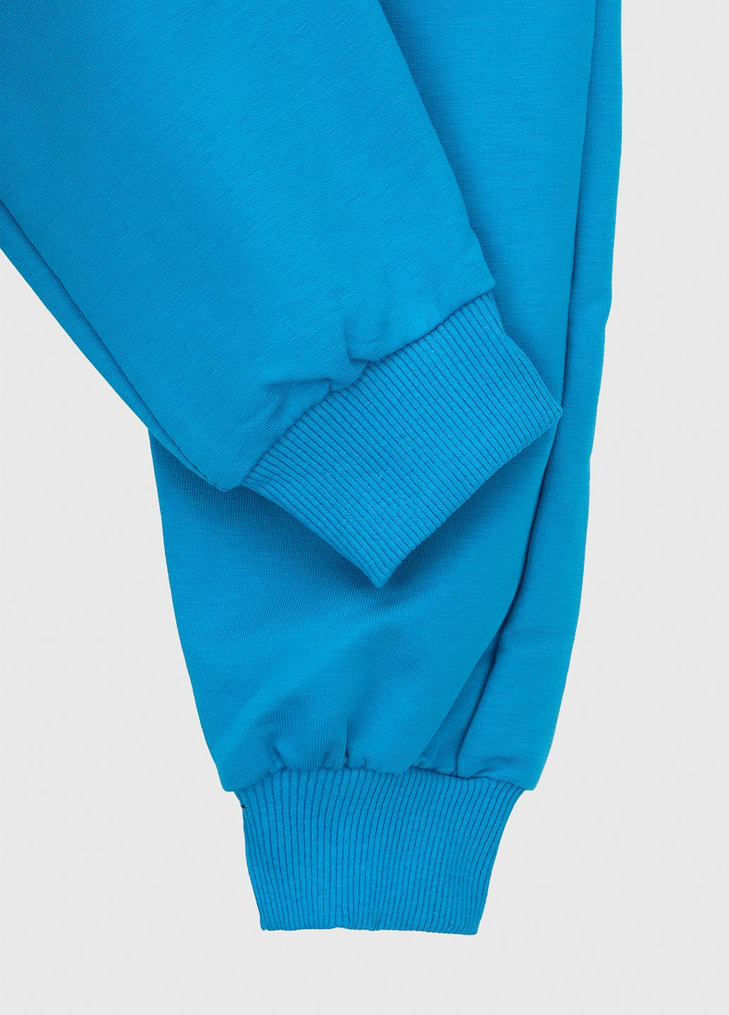 Голубые спортивные демисезонные брюки Atescan