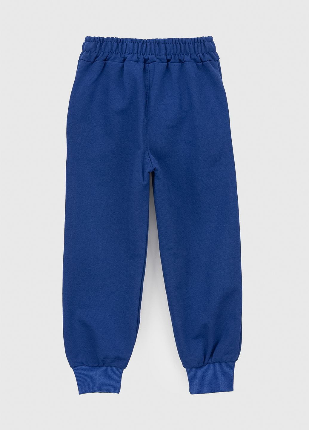 Синие спортивные демисезонные брюки Atescan