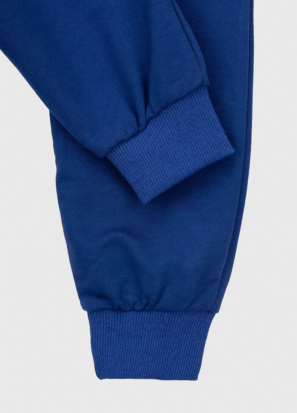 Синие спортивные демисезонные брюки Atescan