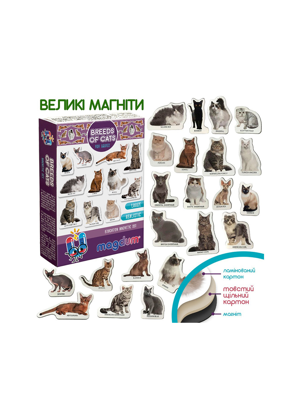 Набір магнитів Породи кішок ML4031-13 MAGDUM (266694326)