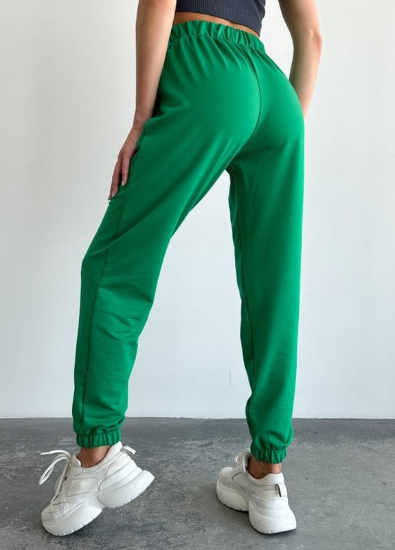 Зеленые трикотажные спортивные штаны модели джоггер ISSA PLUS (266782933)