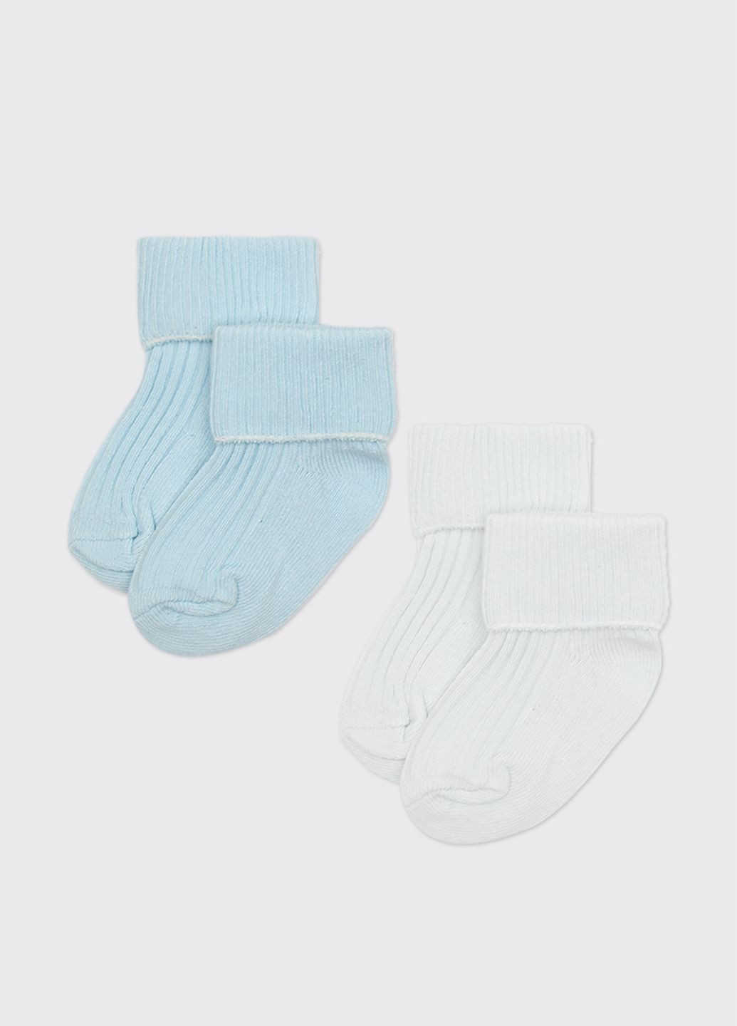 Шкарпетки Coccodrillo (267325761)