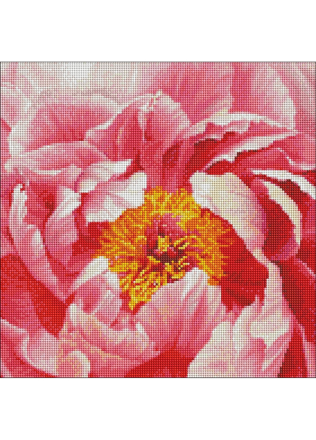 Алмазная мозаика "Красочный пион" 40х40 см Идейка (267657767)