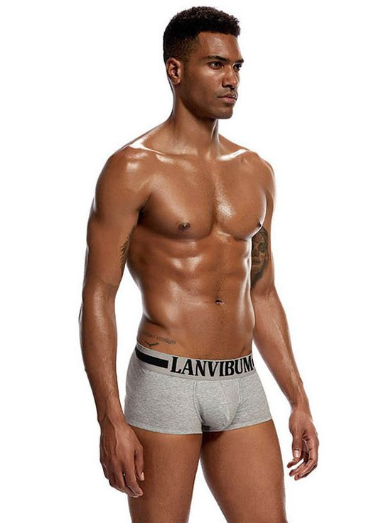 Труси чоловічі Lanvibum (267928143)