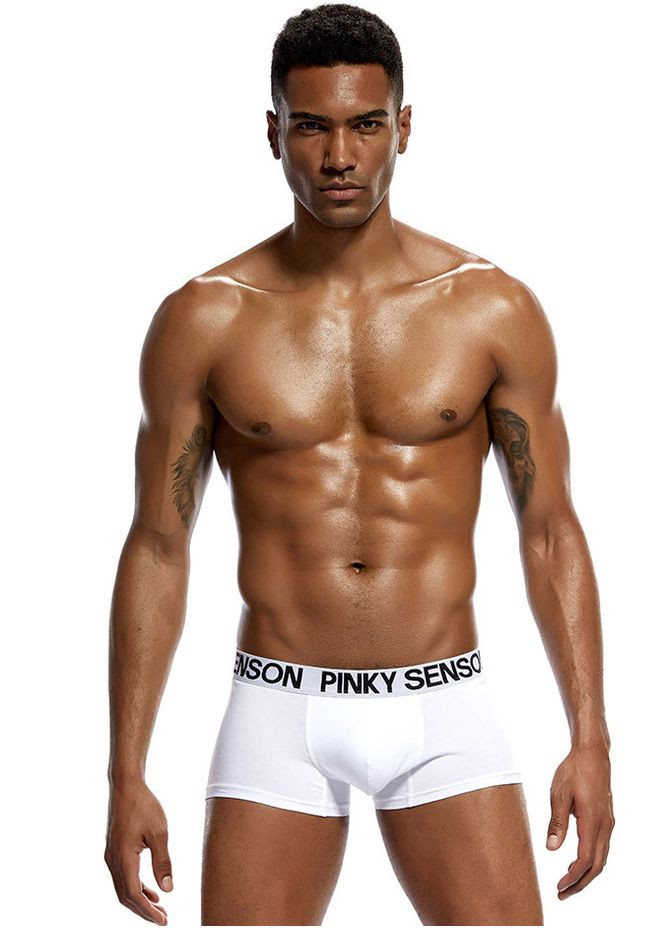 Трусы шорты Pinky Senson (267928156)