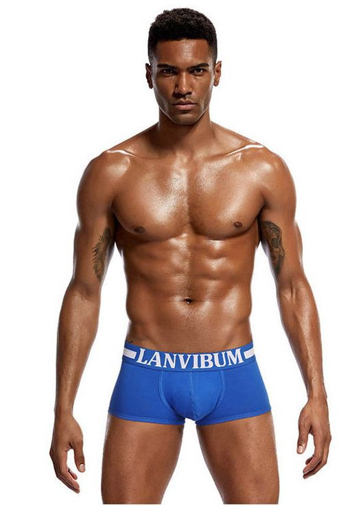 Модное мужское белье Lanvibum (267928478)