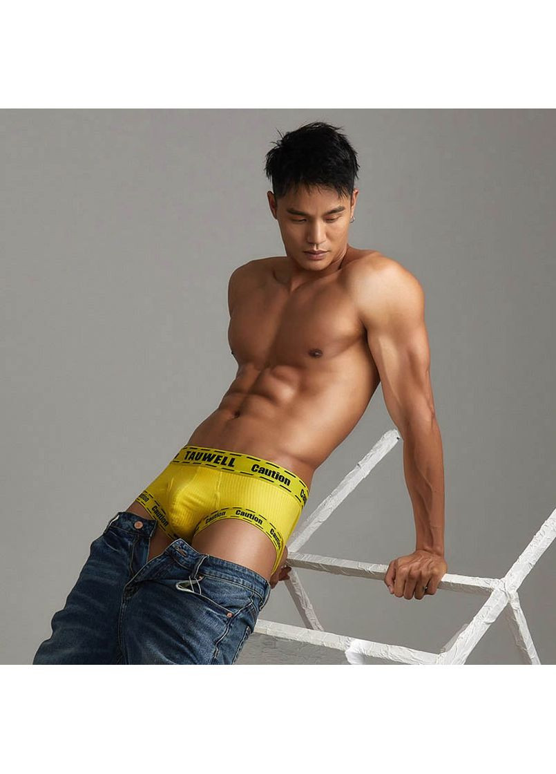 Чоловічі труси Tauwell (267947684)