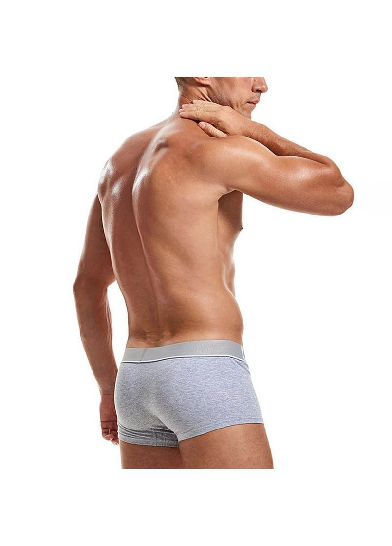 Мужские трусы Lanvibum (267948072)