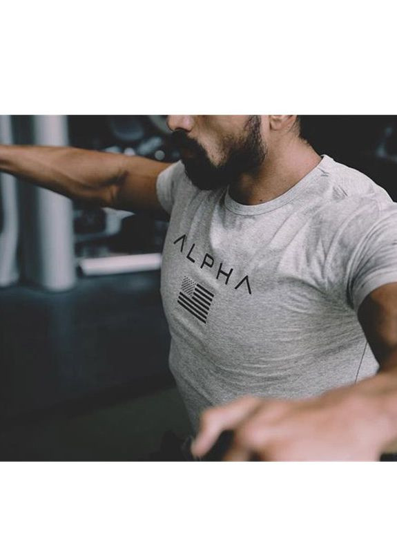 Серая американская футболка Alpha