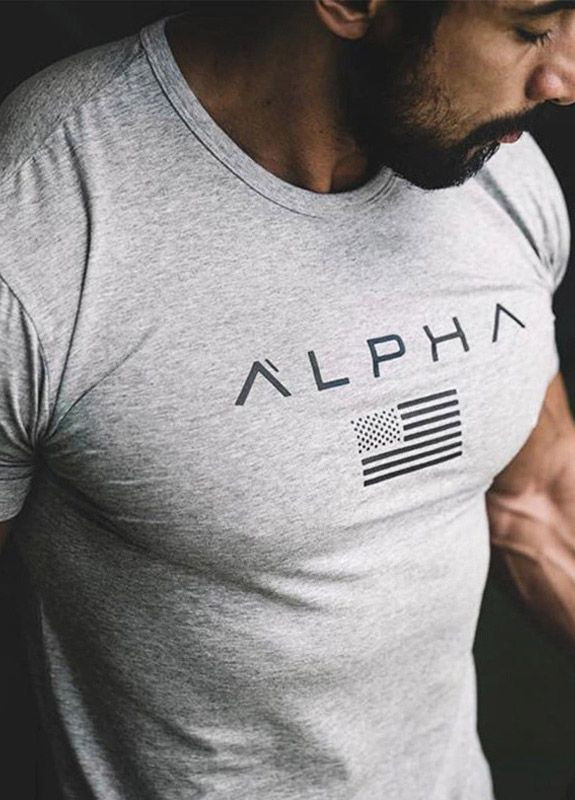 Серая американская футболка Alpha