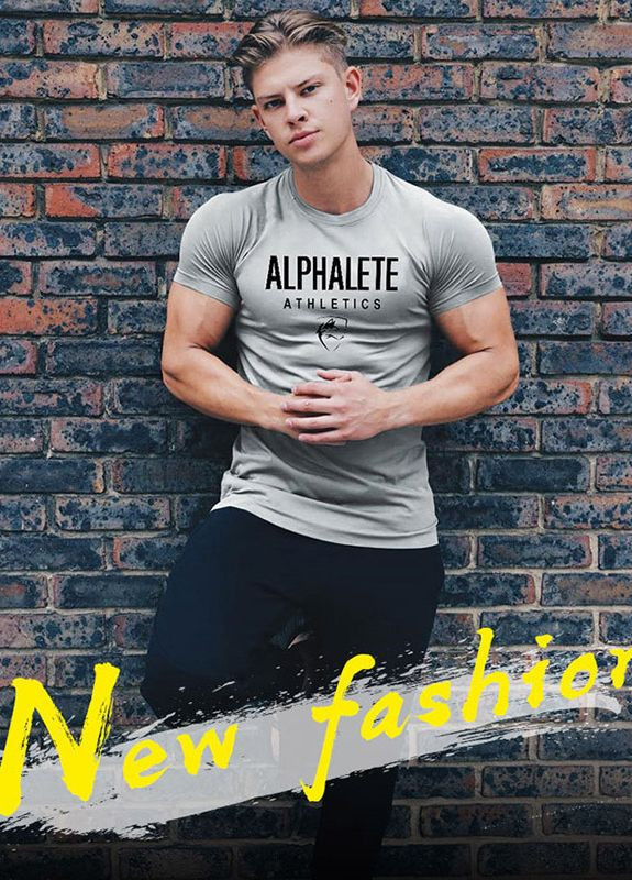 Серая брендовая серая футболка Alpha