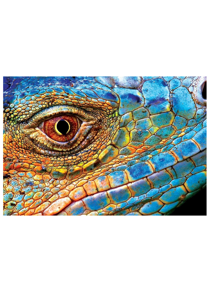 Пазли тришарові Colourful Nature 5 Lizard 250 шт розмір 48х33 см ТМ Interdruk (268120815)