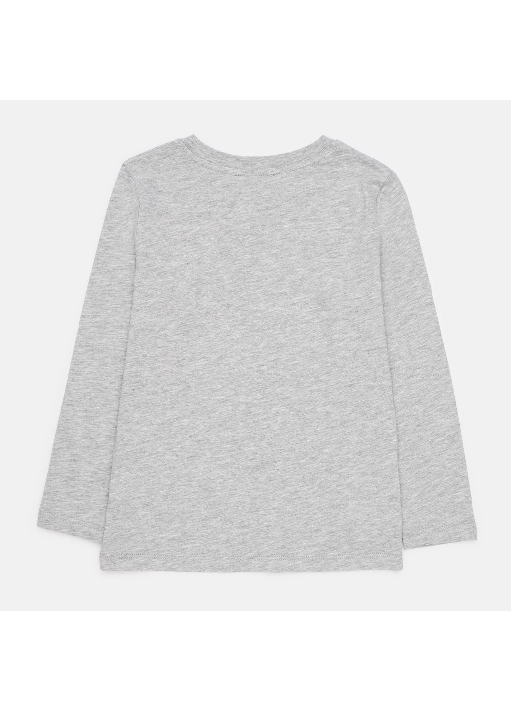 Лонгслів H&M (268217249)