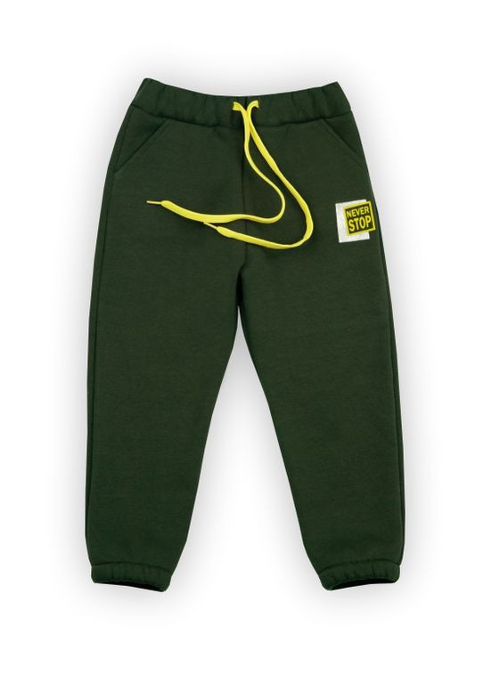 Зеленые спортивные зимние брюки Габби