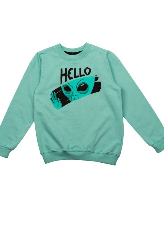 Фісташковий зимовий дитячий джемпер для хлопчика dg-23-4 Габби