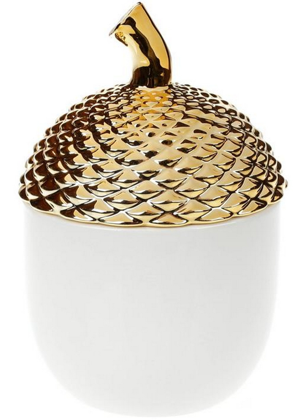 Банка керамічна "Золотий жолудь" Bona (268459773)