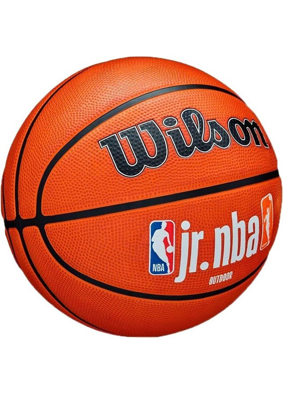 Мяч баскетбольный JR NBA FAM LOGO AUTH OUTDOOR BSKT size 5 Wilson (268746976)