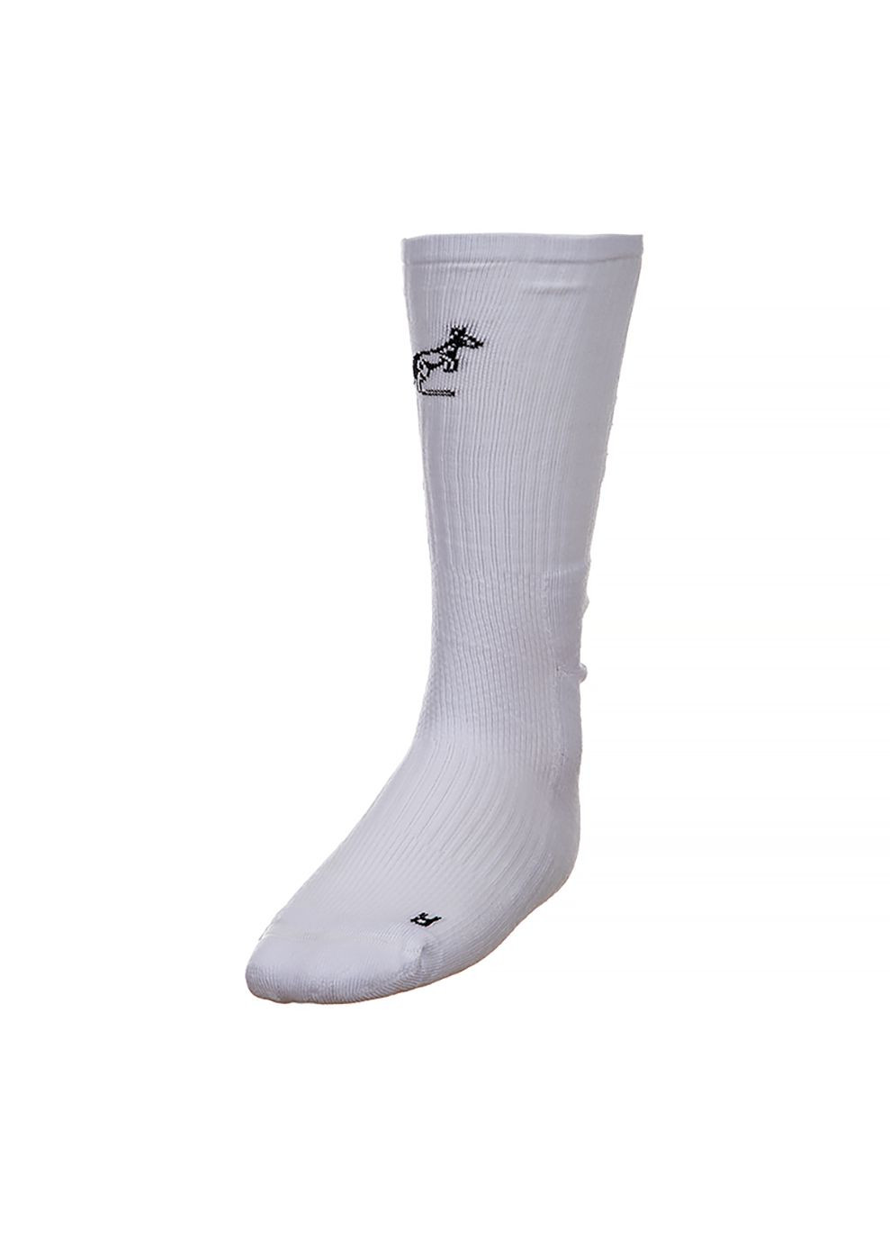 Чоловічі Шкарпетки LOGO SOCKS Білий Australian (268982861)