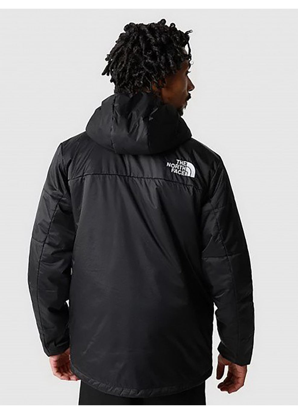 Черная демисезонная зимняя куртка черный The North Face