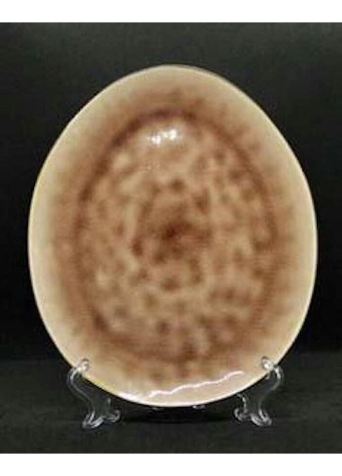 Тарелка овальная Розовая устрица 7953-1-2 28,5х23,5 см Olens (269251744)