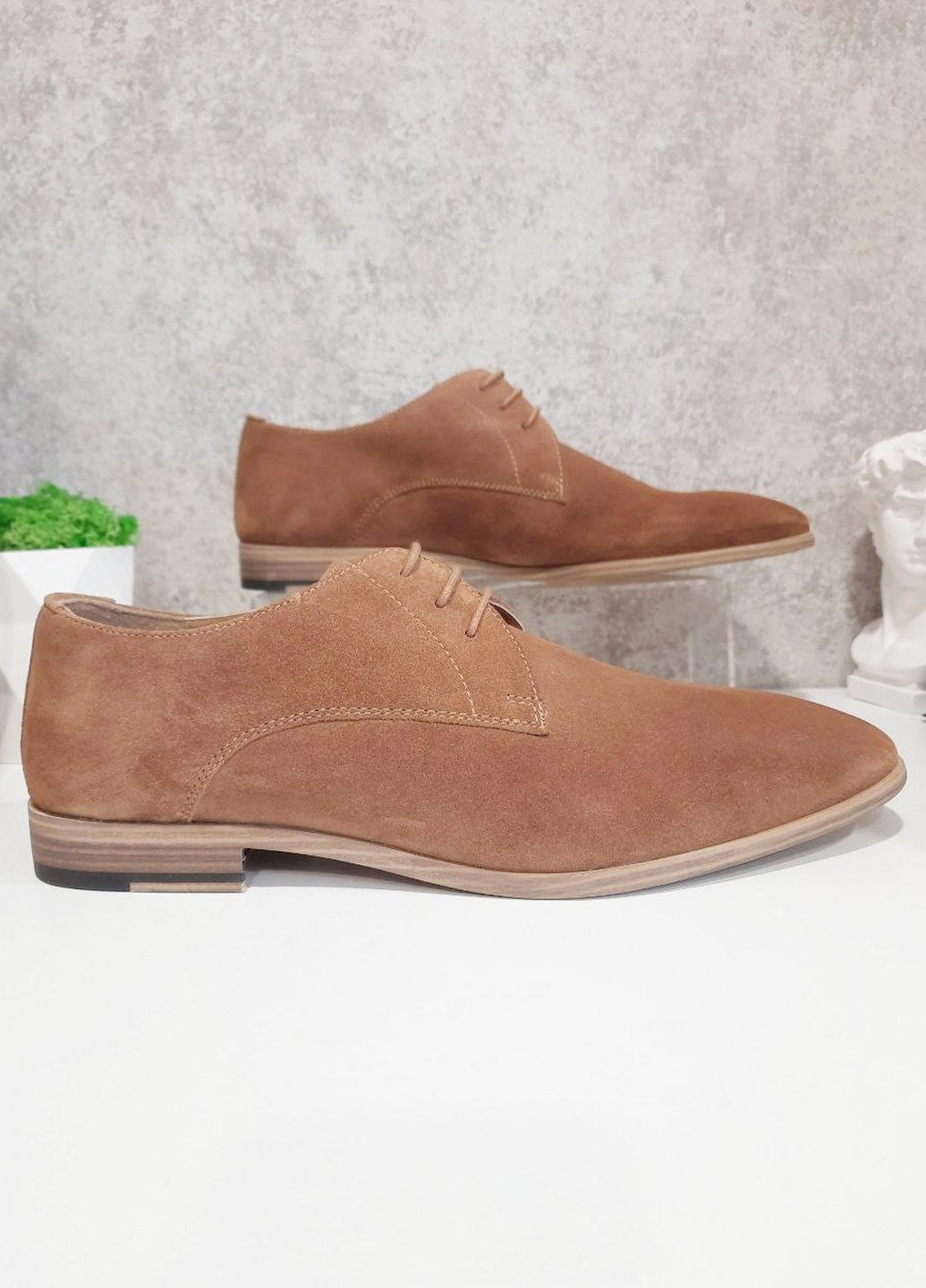 Дербі Topman (269459623)