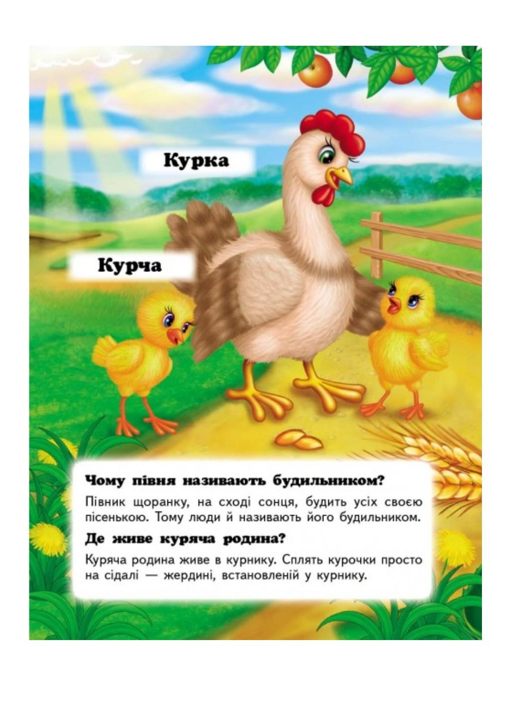 Хто це? Свійські. Запитання та відповіді Пегас (269691250)