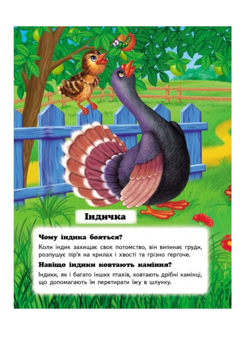 Кто это? На ферме. Вопросы и ответы Пегас (269691221)