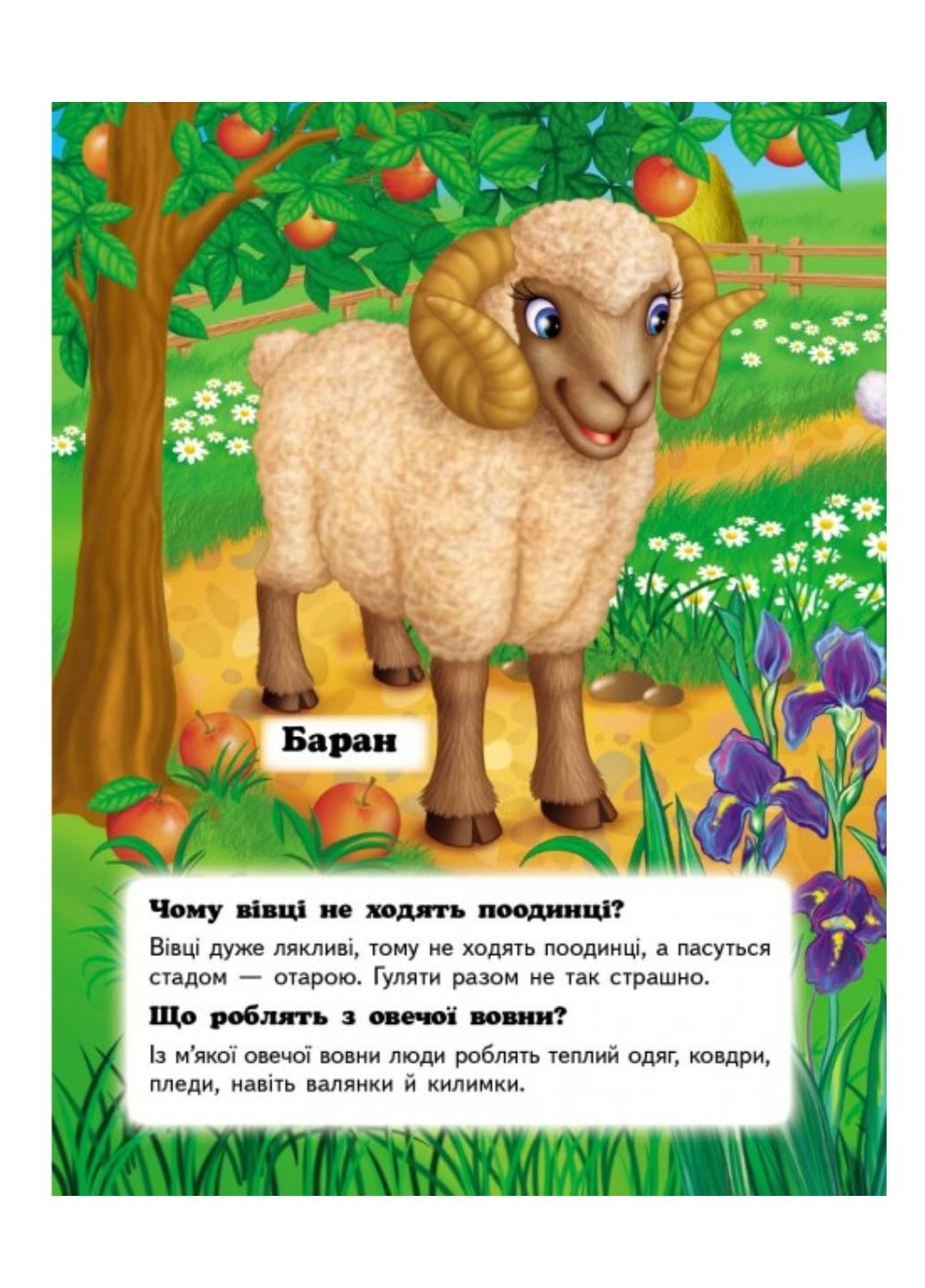 Кто это? На ферме. Вопросы и ответы Пегас (269691221)