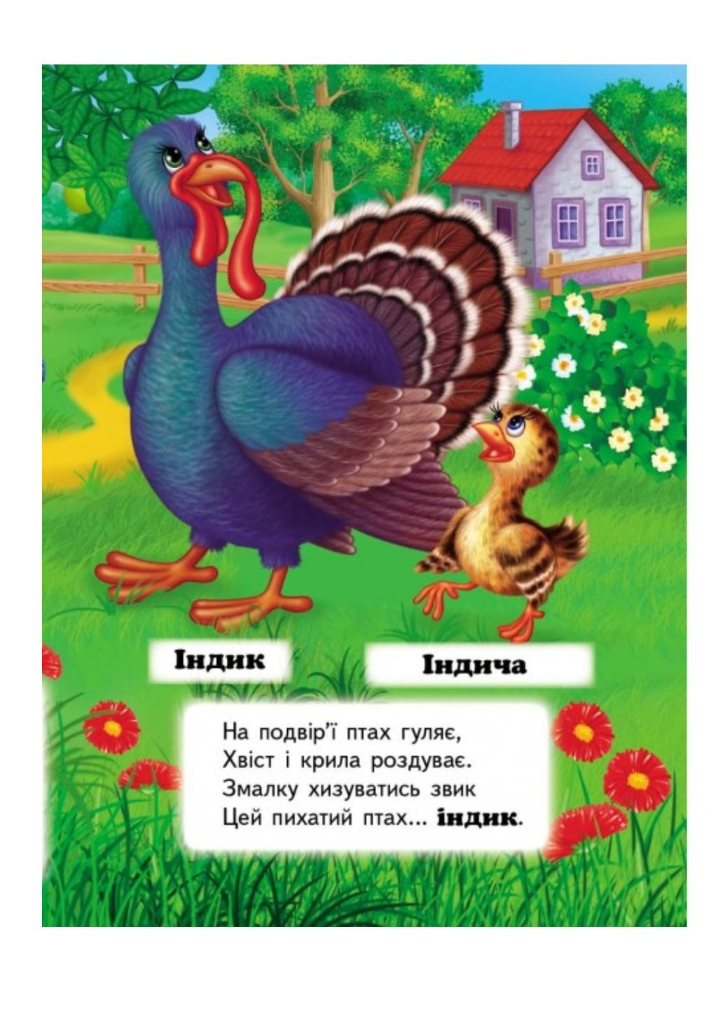 Кто это? На ферме. Вопросы и ответы Пегас (269691221)