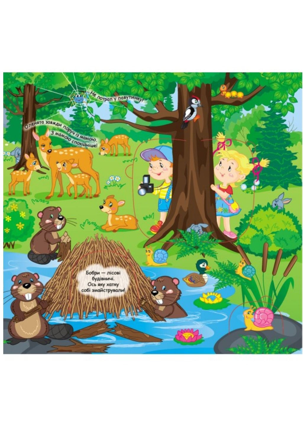 Книжка з віконцями. У лісі. 57 віконець Пегас (269691227)