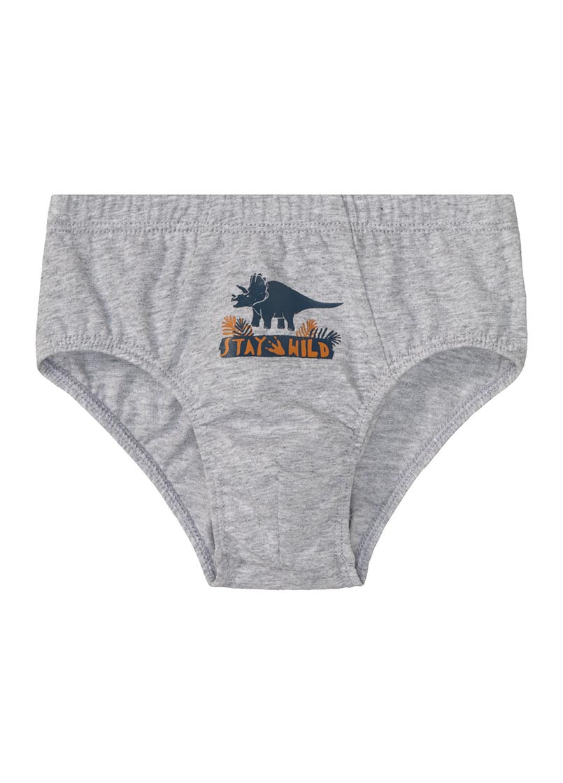 Трусы 4шт Lupilu (269540655)