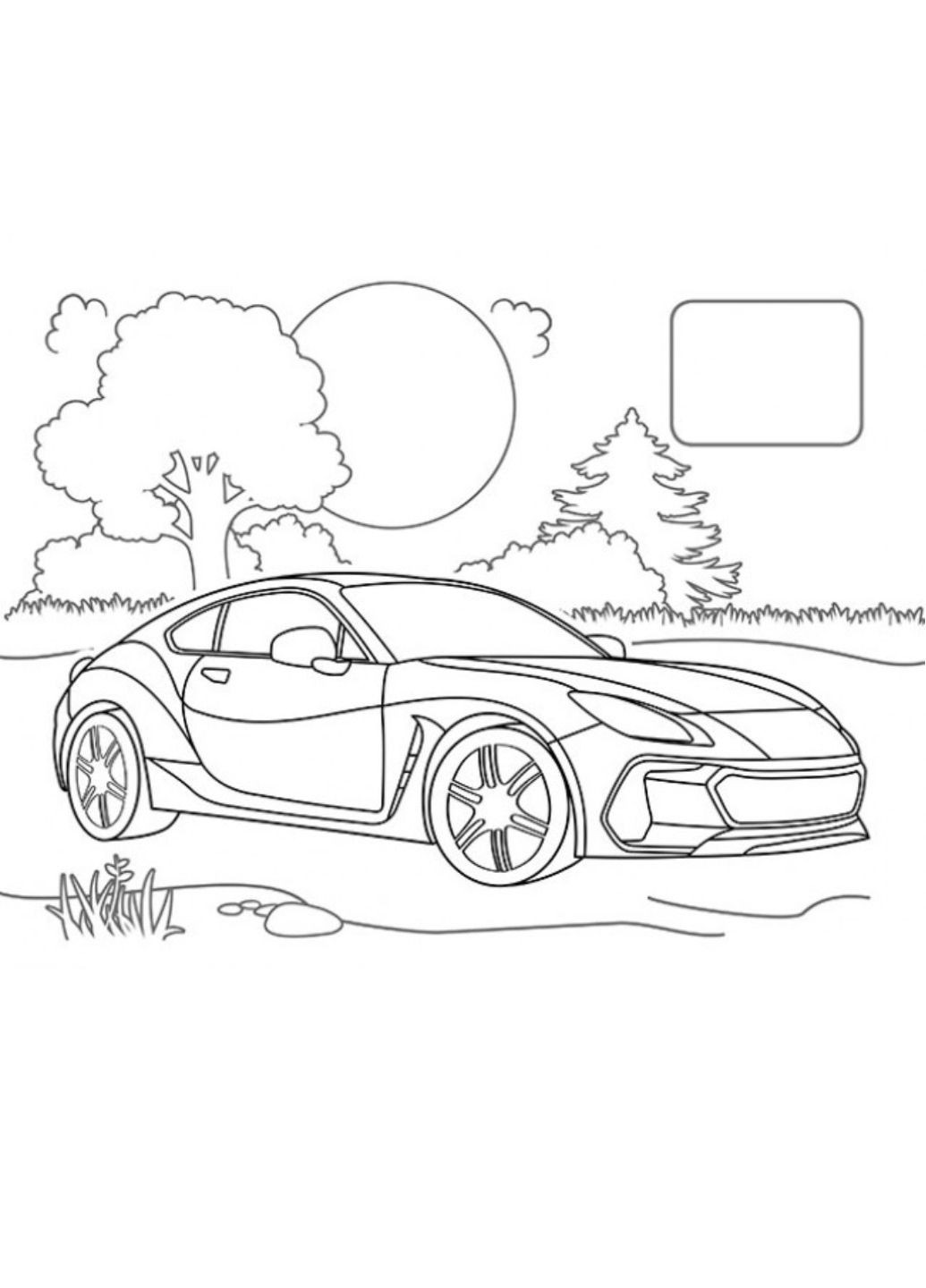 Раскраска спортивные автомобили. Наклейка-образец Пегас (269805809)