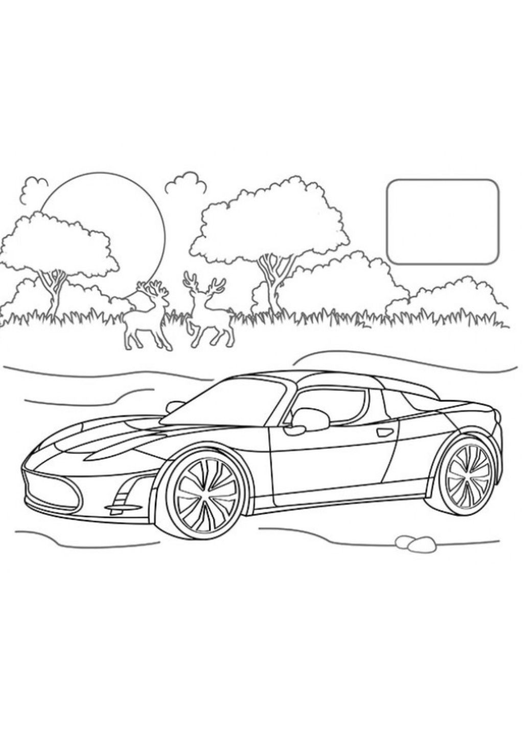 Розмальовка спортивні автомобілі. Наліпка-зразок Пегас (269805809)