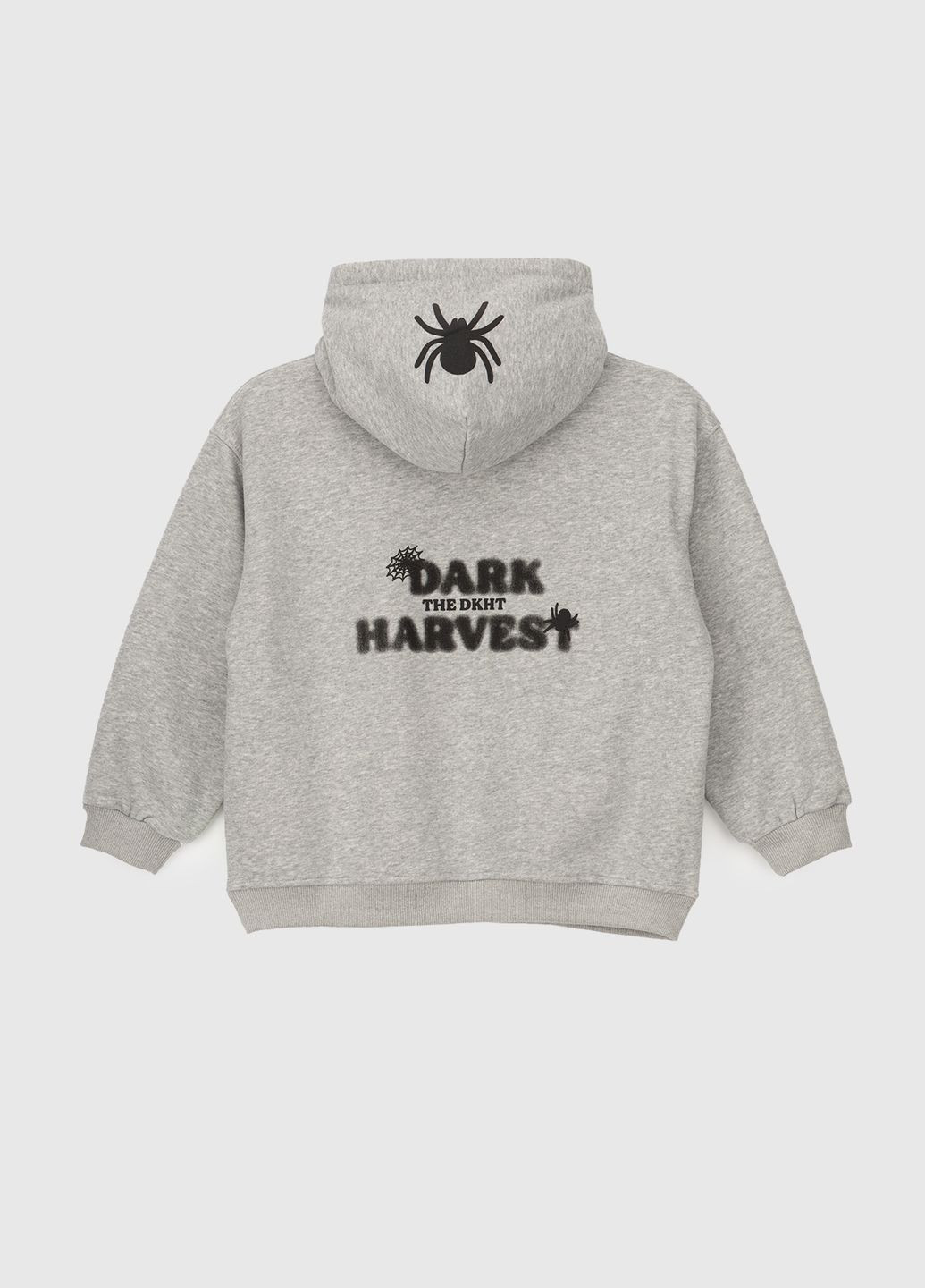 Худи с принтом для мальчика 23805 110 см Серый (2000990106650W) shop (2000990106650) XZKAMI (270931149)