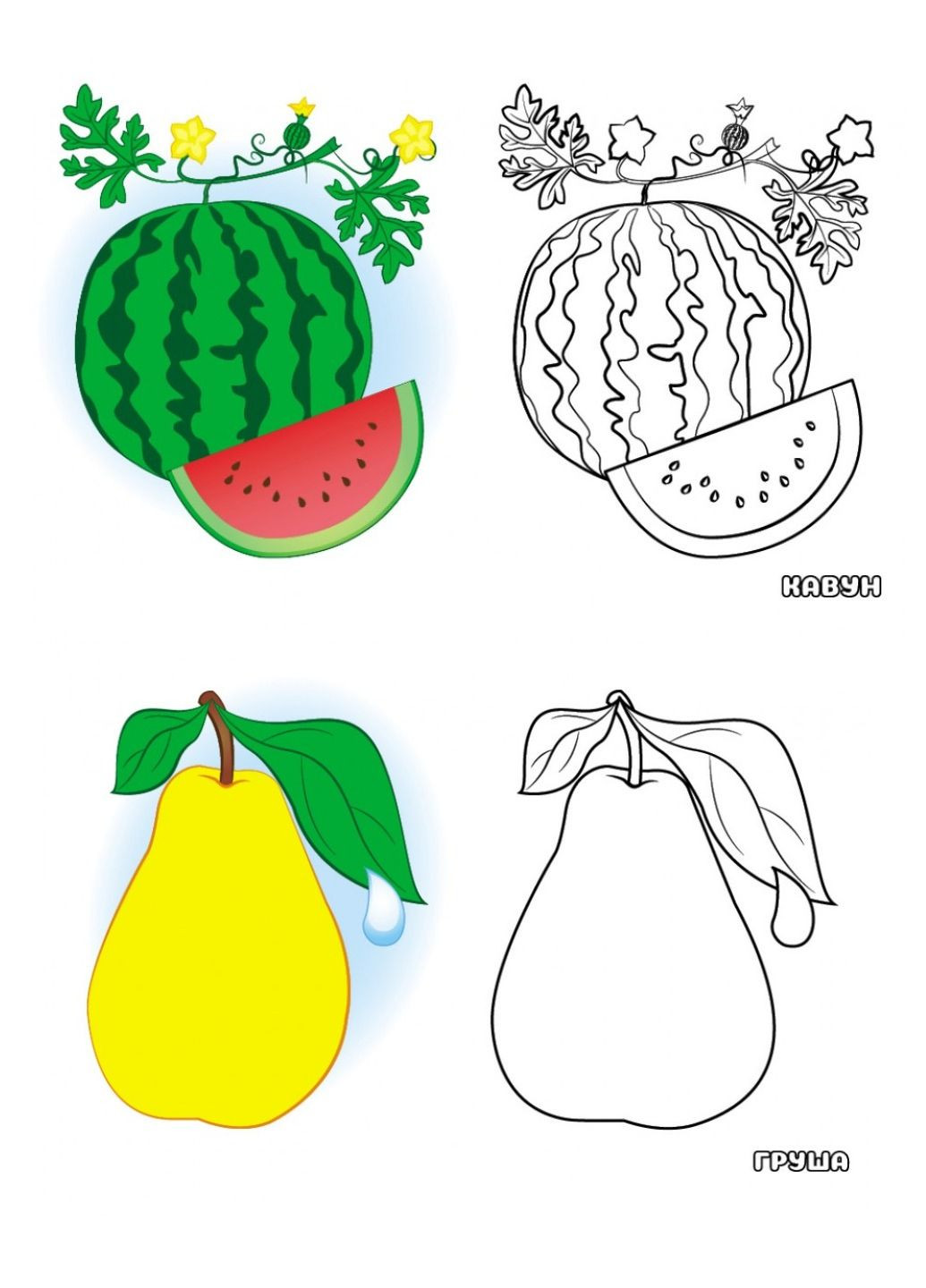 Посмотри и раскрась. Набор из 4 раскрасок для малышей Пегас (270965515)