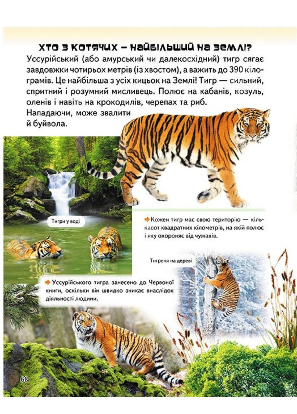 Дивовижна енциклопедія про тварин у запитаннях і відповідях Пегас (270965514)