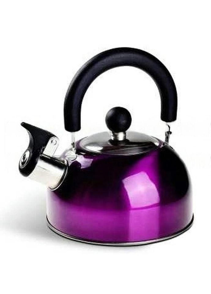 Чайник із свистком EB-1343-Violet 1,2 л фіолетовий Edenberg (271140112)