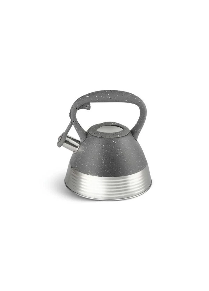 Чайник із свистком EB-8827-Grey 3 л сірий Edenberg (271140009)