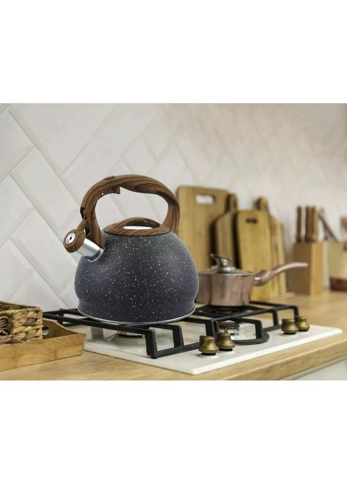 Чайник со свистком Пират GT-1411-30 3 л Gusto (271139770)