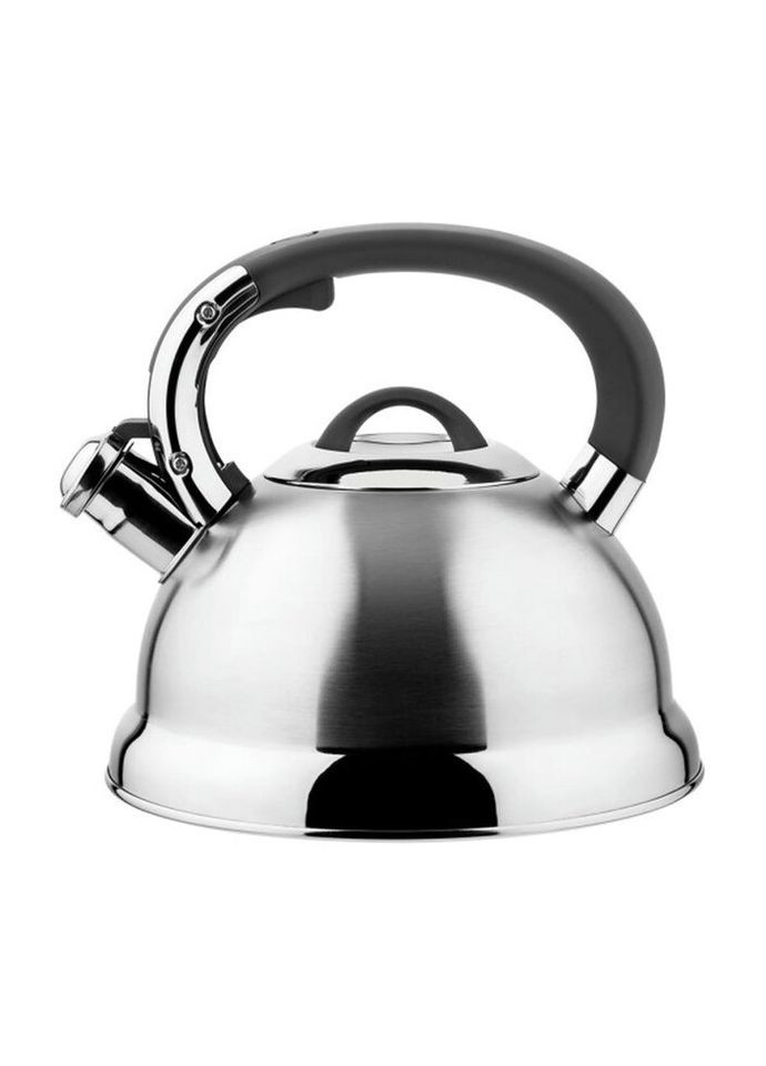 Чайник со свистком Bern VZ-50014 2.7 л Vinzer (271139651)