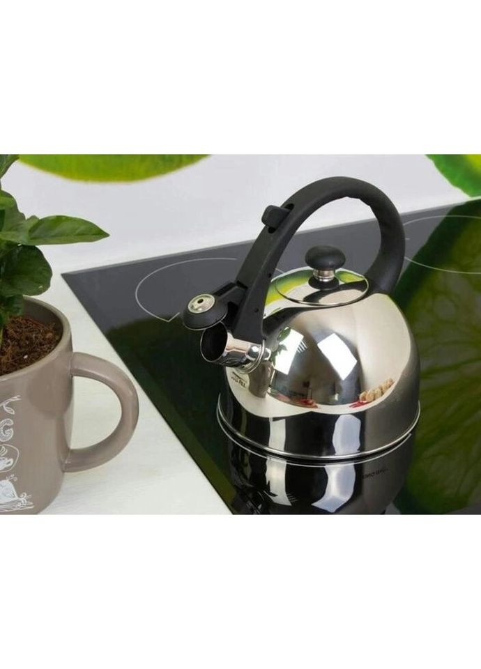 Чайник со свистком EB-1971 1.5 л Edenberg (271140125)