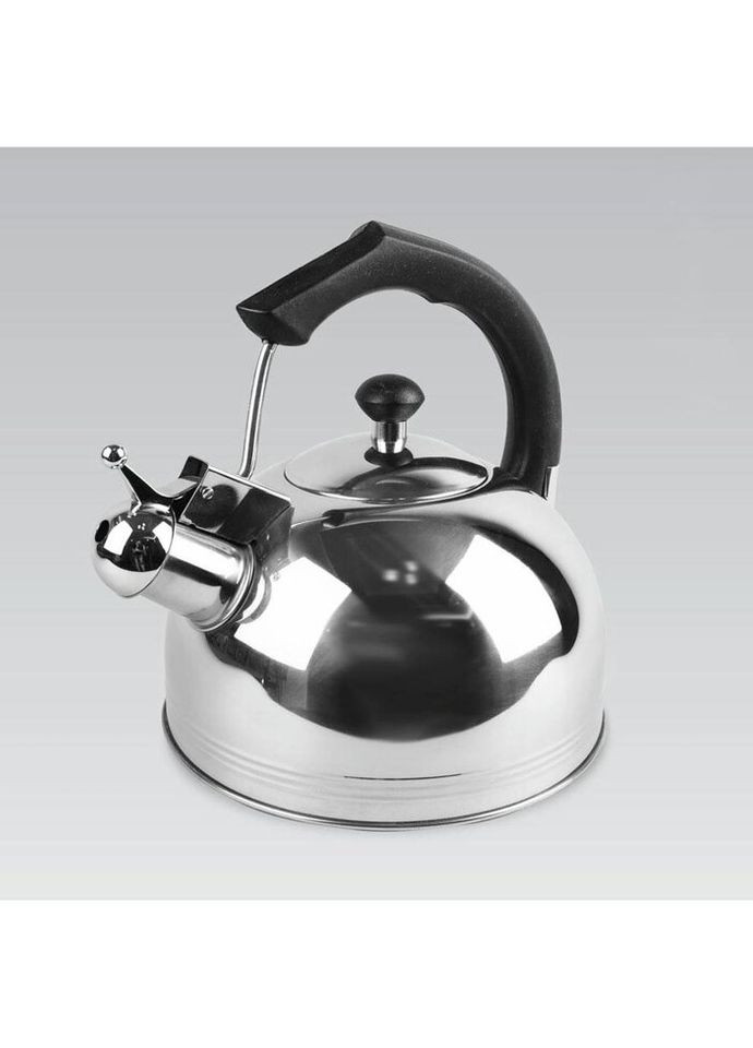 Чайник із свистком MR-1308 3.5 л Maestro (271551107)