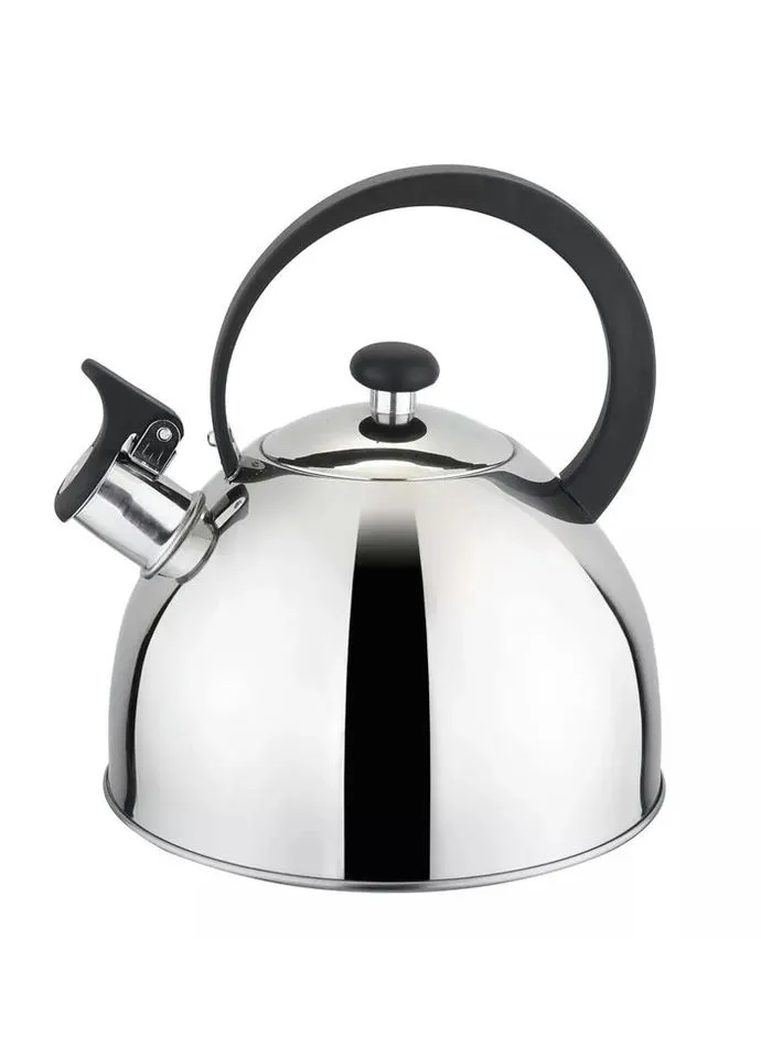 Чайник із свистком Silver GT-1410-20 2 л сріблястий Gusto (271550581)