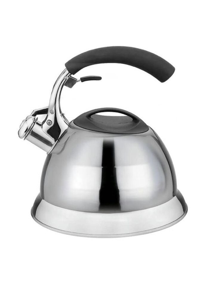 Чайник зі свистком 1314 Maestro (271551108)