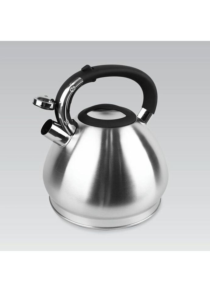 Чайник із свистком MR-1319 4.3 л Maestro (271550173)