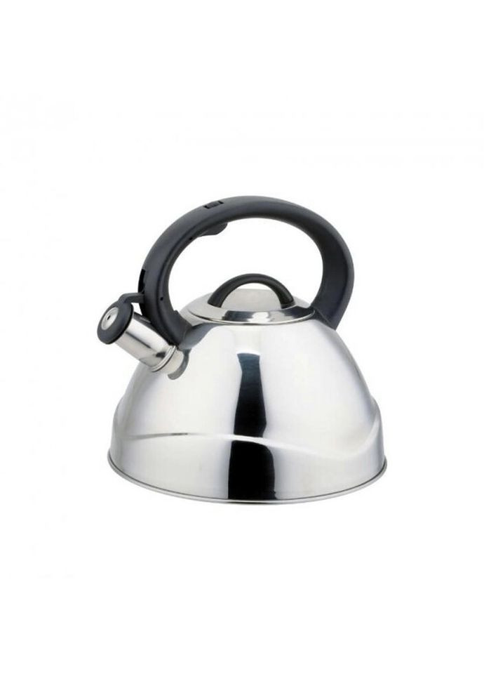 Чайник на плиту RS-7617-35 3,5 л Rainstahl (271550926)