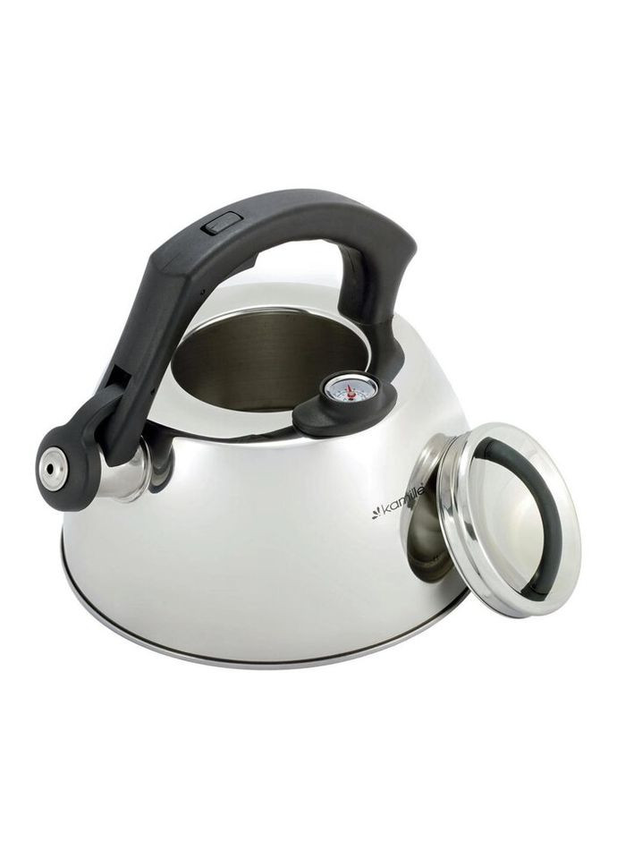 Чайник со свистком и термометром KM-1077 3 л серый Kamille (271550510)